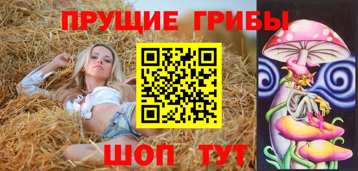 Галлюциногенные грибы Cubensis  Вход с VPN  Елец 