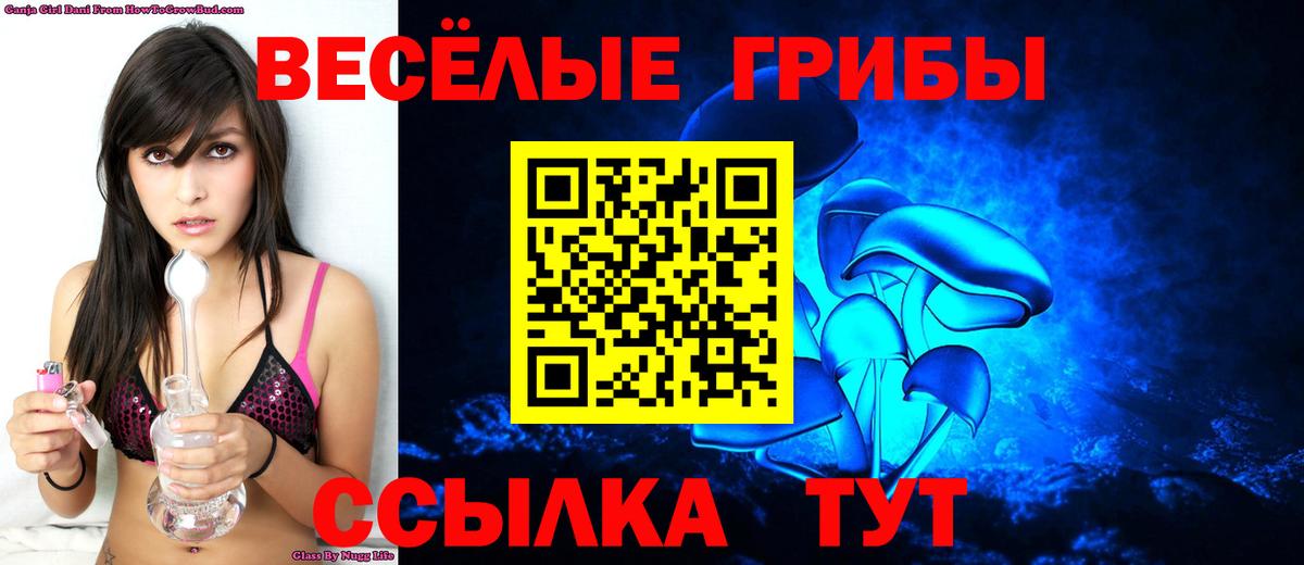 Псилоцибиновые грибы Cubensis Елец